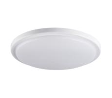 29161 - LED Koupelnové stropní svítidlo ORTE LED/24W/230V IP54