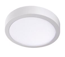 33541 - LED Stropní svítidlo CARSA LED/24W/230V 4000K bílá pr. 30 cm