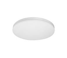 61000886 - LED Stropní svítidlo MONY LED/26W/230V 3000K