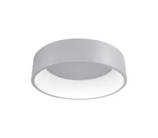 61003078 - LED Stropní svítidlo KAJI LED/20W/230V