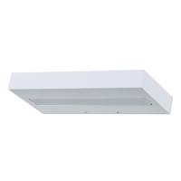 ACA Lighting Wall , Ceiling LED nástěnné svítidlo L36310200U