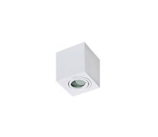 Azzardo Azzardo  - Koupelnové stropní svítidlo BRANT 1xGU10/50W/230V IP44