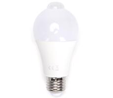 B.V. LED Žárovka se senzorem A60 E27/12W/230V 6500K -