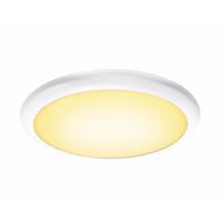 BIG WHITE RUBA 20 CW LED, venkovní nástěnné a stropní nástavbové svítidlo, bílá, IP65, 3000/4000K 1001911