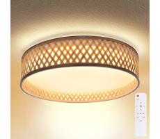 Brilagi Brilagi - LED Stmívatelné stropní svítidlo CAMILA LED/48W/230V 3000-6500K + DO