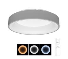 BRILAGI Brilagi - LED Stmívatelné stropní svítidlo FALCON LED/80W/230V 3000-6500K + DO