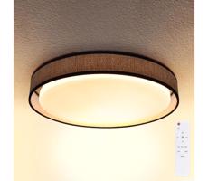 Brilagi Brilagi - LED Stmívatelné stropní svítidlo PILAR LED/48W/230V 3000-6500K + DO