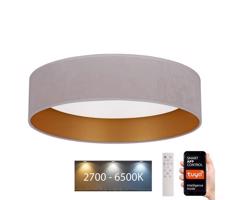 BRILAGI Brilagi - LED Stmívatelné svítidlo VELVET SMART LED/24W/230V Wi-Fi Tuya + DO