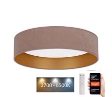 BRILAGI Brilagi - LED Stmívatelné svítidlo VELVET SMART LED/24W/230V Wi-Fi Tuya + DO