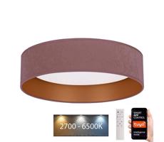 BRILAGI Brilagi - LED Stmívatelné svítidlo VELVET SMART LED/24W/230V Wi-Fi Tuya + DO