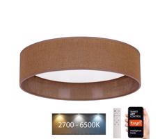 BRILAGI Brilagi - LED Stmívatelné svítidlo VELVET SMART LED/24W/230V Wi-Fi Tuya + DO