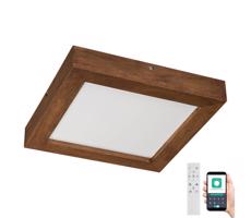 Brilagi Brilagi-LED Stmívatelné svítidlo WOODY FRAME LED/24W/230V dub 30x30 cm IP44 + DO