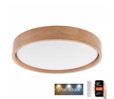 BRILAGI Brilagi - LED Stropní svítidlo MANAROLA SMART LED/24W/230V + DO Tuya