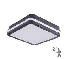 Brilagi Brilagi - LED Venkovní svítidlo se senzorem BENE LED/18W/230V 22x22 cm IP54