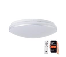 Brilliant Brilliant - LED RGBW Stmívatelné stropní svítidlo MIDWAY LED/14W/230V + DO