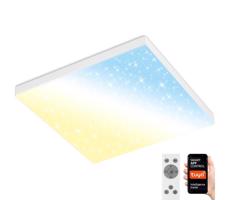 Brilo Brilo - LED Stmívatelné stropní svítidlo FRAMELESS LED/24W/230V Wi-Fi Tuya + DO