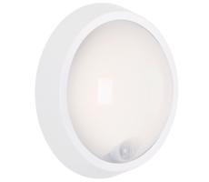 Briloner Briloner 3352-016 - LED Venkovní svítidlo se senzorem HELSINKI LED/12W/230V IP44