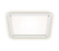 Briloner Briloner 3397-016 - LED Stropní svítidlo FREE LED/22W/230V