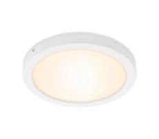 Briloner Briloner 7141-016 - LED Stropní svítidlo FIRE LED/21W/230V