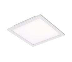 Briloner Briloner 7191-016 - LED Stropní svítidlo SIMPLE LED/12W/230V