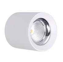 CENTURY Stropní SVÍTIDLO LED RONDO BÍLÉ 110x123mm 15W/230VAC 4000K 1350Lm 45d IP20 CEN RNDBI-1511040