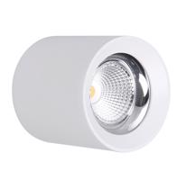 CENTURY Stropní SVÍTIDLO LED RONDO BÍLÉ 130x155mm 25W/230VAC 4000K 2500Lm 45d IP20 CEN RNDBI-2513040