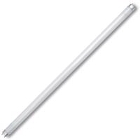 Ecolite TUBE26-36/841/EU