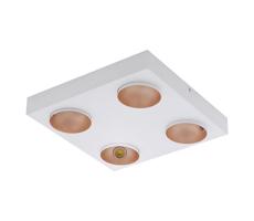 Eglo Eglo 39377 - LED Stmívatelné stropní svítidlo RONZANO 4xLED/3,3W/230V