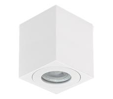 Emithor Emithor  - Koupelnové bodové svítidlo ALUX 1xGU10/35W/230V IP44 bílá