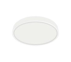 Emithor Emithor  - LED Koupelnové stropní svítidlo LENYS LED/12W/230V IP44