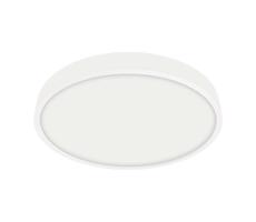 Emithor Emithor  - LED Koupelnové stropní svítidlo LENYS LED/18W/230V IP44