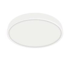 Emithor Emithor  - LED Koupelnové stropní svítidlo LENYS LED/24W/230V IP44