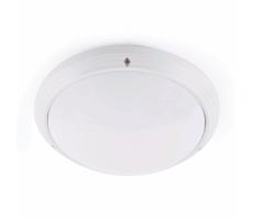 FARO Barcelona FARO 70722 - Venkovní stropní svítidlo DAKRON 1xE27/40W/230V IP65