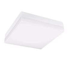 Greenlux LED Koupelnové stropní svítidlo LED/24W/230V 3000/4000/6000K 28x28 cm IP44