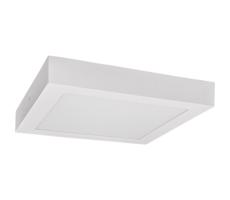 Greenlux LED Stropní svítidlo FENIX LED/12W/230V 2800K 17 cm