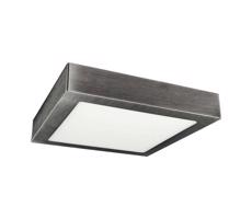 Greenlux LED Stropní svítidlo FENIX LED/12W/230V 2800K 17 cm