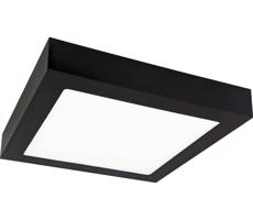 Greenlux LED Stropní svítidlo FENIX LED/12W/230V 2800K 17 cm