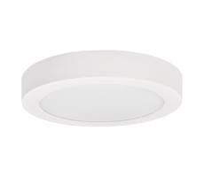 Greenlux LED Stropní svítidlo FENIX LED/12W/230V 2900/3900/5800K pr. 16,8 cm bílá