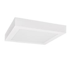 Greenlux LED Stropní svítidlo FENIX LED/12W/230V 3800K 17 cm sněhově bílá