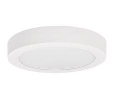 Greenlux LED Stropní svítidlo FENIX LED/12W/230V 3800K pr. 17 cm sněhově bílá