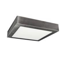 Greenlux LED Stropní svítidlo FENIX LED/18W/230V 3800K 22,5 cm