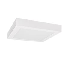 Greenlux LED Stropní svítidlo FENIX LED/24W/230V 2900/3900/5800K 29,5x29,5 cm bílá