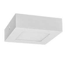 Greenlux LED Stropní svítidlo FENIX LED/6W/230V 2800K 12 cm