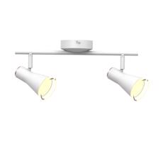 LED Bodové svítidlo BERG 2xLED/4,2W/230V bílá