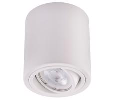 LED Bodové svítidlo TUBA 1xGU10/5W/230V 4000K bílá