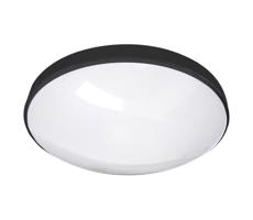 LED Koupelnové stropní svítidlo CIRCLE LED/24W/230V 4000K pr. 37 cm IP44 černá