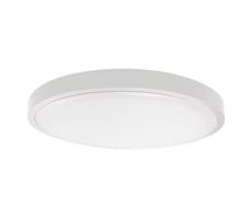 LED Koupelnové stropní svítidlo LED/18W/230V IP44 3000K pr. 25 cm bílá