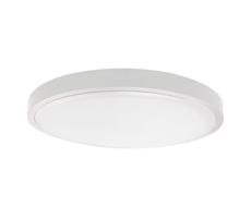 LED Koupelnové stropní svítidlo LED/18W/230V IP44 6500K pr. 25 cm bílá