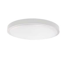 LED Koupelnové stropní svítidlo LED/24W/230V IP44 4000K pr. 29 cm bílá