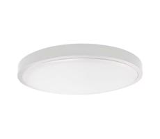 LED Koupelnové stropní svítidlo LED/24W/230V IP44 6500K pr. 29 cm bílá